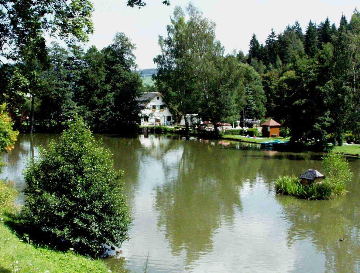 Hotel Gasthof Zum Walfisch Klingenthal Buitenkant foto