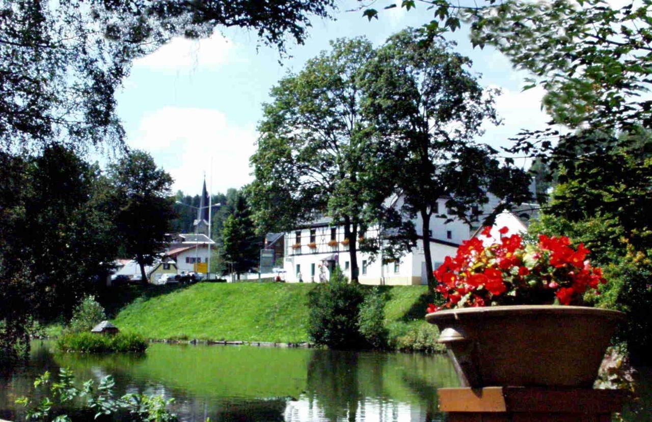 Hotel Gasthof Zum Walfisch Klingenthal Buitenkant foto
