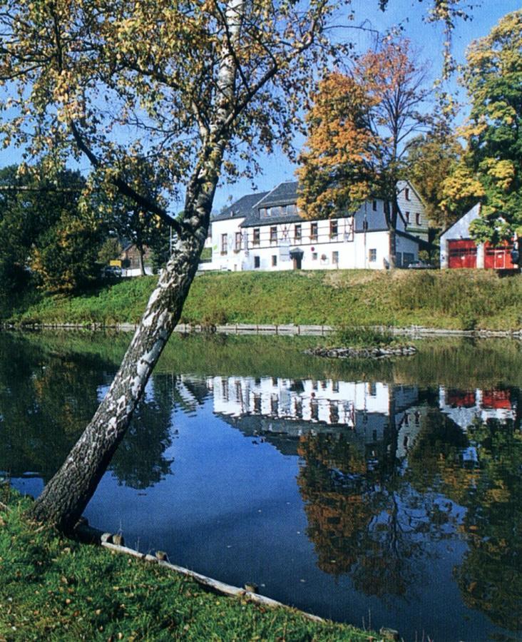 Hotel Gasthof Zum Walfisch Klingenthal Buitenkant foto