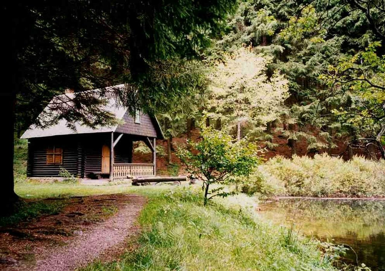 Hotel Gasthof Zum Walfisch Klingenthal Buitenkant foto